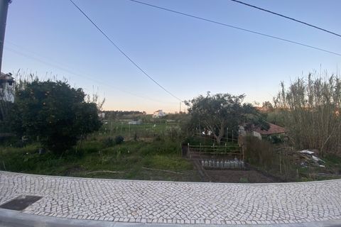 Terra a Soure, Coimbra, Soure - € 89.000 | Ref: FFMJ 6229 - foto 2