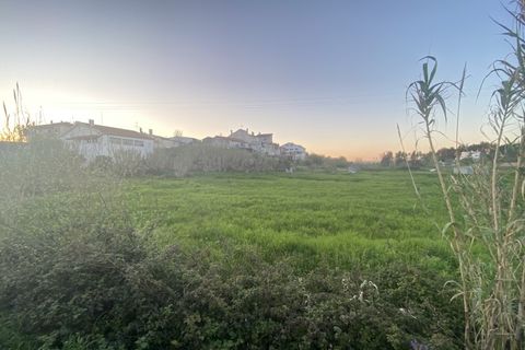 Terra a Soure, Coimbra, Soure - € 89.000 | Ref: FFMJ 6229 - foto 3