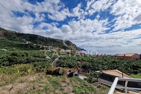 Villa i Ponta do Sol, Madeira, Ponta do Sol - € 445.000 | Ref: 3221 - foto 12