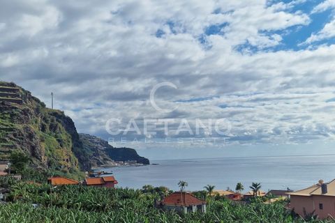 Villa i Ponta do Sol, Madeira, Ponta do Sol - € 445.000 | Ref: 3221 - foto 26