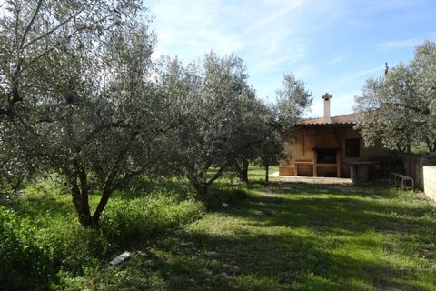 Finca i Miravet, Tarragona, Miravet - € 56.000 | Ref: Mito - foto 8