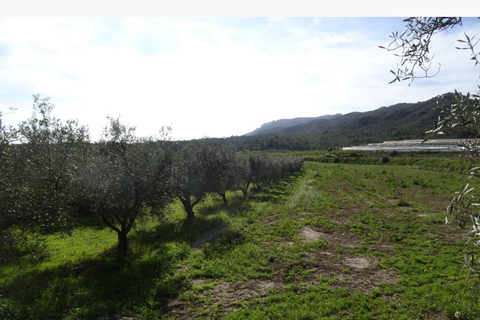 Finca i Miravet, Tarragona, Miravet - € 56.000 | Ref: Mito - foto 25