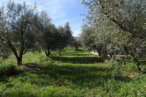 Finca i Miravet, Tarragona, Miravet - € 56.000 | Ref: Mito - foto 7