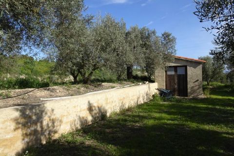 Finca i Miravet, Tarragona, Miravet - € 56.000 | Ref: Mito - foto 16