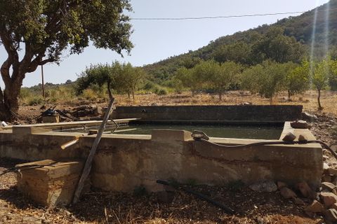 Villa i Collesano, Palermo, Collesano - € 185.000 | Ref: 10625 - foto 19