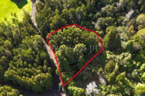 Helårsgrund i Sao Roque do Pico, Pico, Sao Roque do Pico - € 14.000 | Ref: 374250300 - foto 1