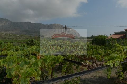 Villa a Denia, Alicante, Denia - € 495.000 | Ref: XN250901 - foto 17