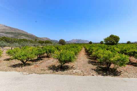 Helårsgrund i Orba, Alicante, Orba - € 170.000 | Ref: XN251001n - foto 4