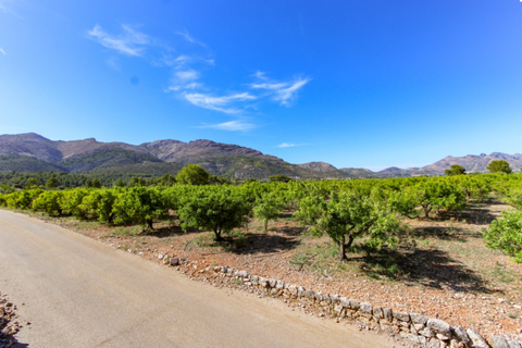 Helårsgrund i Orba, Alicante, Orba - € 170.000 | Ref: XN251001n - foto 5