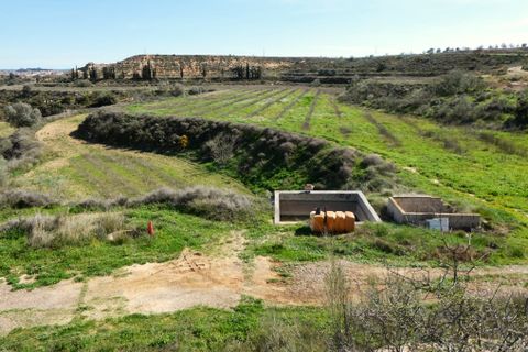 Finca i Caspe, Zaragoza, Caspe - € 89.000 | Ref: 1111 - foto 22
