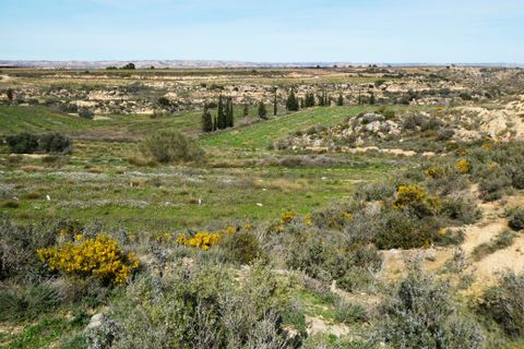 Finca i Caspe, Zaragoza, Caspe - € 89.000 | Ref: 1111 - foto 38