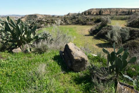 Finca i Caspe, Zaragoza, Caspe - € 89.000 | Ref: 1111 - foto 25