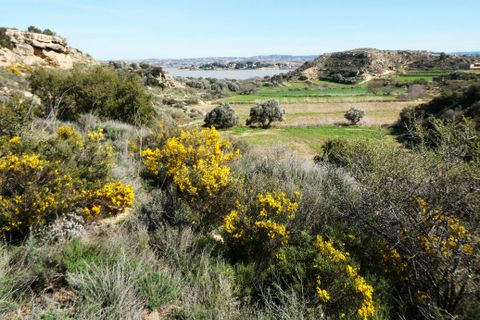Finca i Caspe, Zaragoza, Caspe - € 89.000 | Ref: 1111 - foto 29