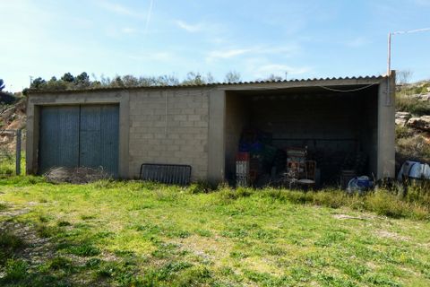 Finca i Caspe, Zaragoza, Caspe - € 89.000 | Ref: 1111 - foto 13