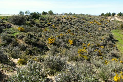 Finca i Caspe, Zaragoza, Caspe - € 89.000 | Ref: 1111 - foto 36