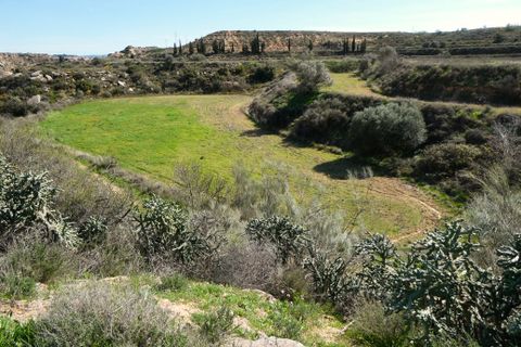 Finca i Caspe, Zaragoza, Caspe - € 89.000 | Ref: 1111 - foto 28
