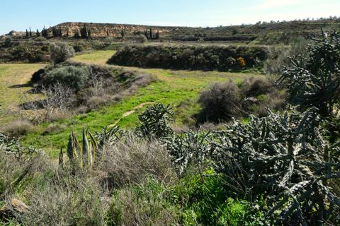 Finca i Caspe, Zaragoza, Caspe - € 89.000 | Ref: 1111 - foto 24