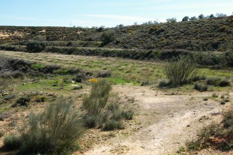 Finca i Caspe, Zaragoza, Caspe - € 89.000 | Ref: 1111 - foto 35