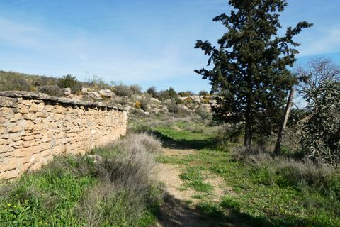 Finca i Caspe, Zaragoza, Caspe - € 89.000 | Ref: 1111 - foto 15