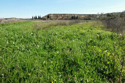 Finca i Caspe, Zaragoza, Caspe - € 89.000 | Ref: 1111 - foto 33