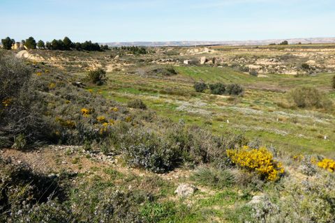 Finca i Caspe, Zaragoza, Caspe - € 89.000 | Ref: 1111 - foto 37