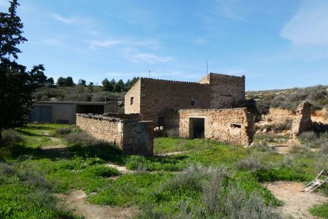 Finca i Caspe, Zaragoza, Caspe - € 89.000 | Ref: 1111 - foto 16