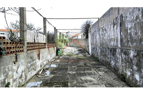 Farm i Mafra, Lisbon, Mafra - € 800.000 | Ref: FIN_124 - foto 4