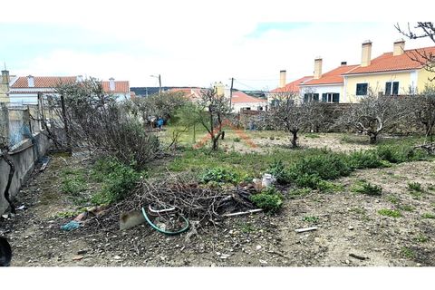 Farm i Mafra, Lisbon, Mafra - € 800.000 | Ref: FIN_124 - foto 6