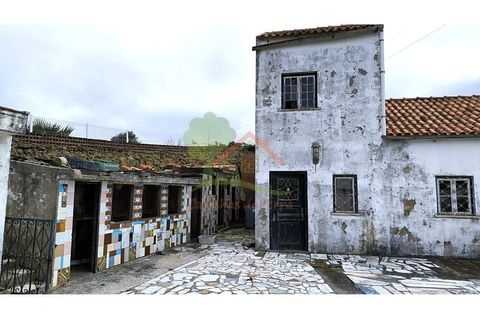 Farm i Mafra, Lisbon, Mafra - € 800.000 | Ref: FIN_124 - foto 7