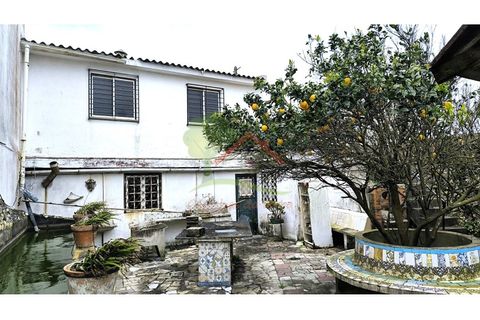 Farm i Mafra, Lisbon, Mafra - € 800.000 | Ref: FIN_124 - foto 8