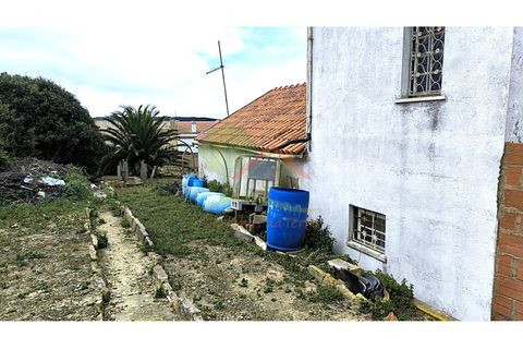 Farm i Mafra, Lisbon, Mafra - € 800.000 | Ref: FIN_124 - foto 12