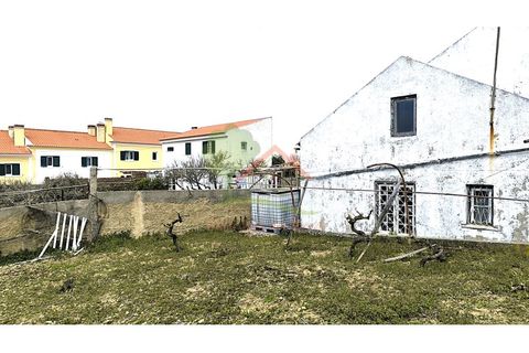Farm i Mafra, Lisbon, Mafra - € 800.000 | Ref: FIN_124 - foto 14