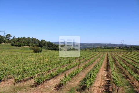 Villa a Tresques, Gard, Tresques - € 349.000 | Ref: 86426756 - foto 10