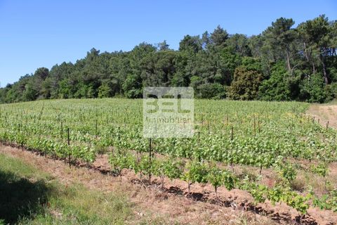 Villa a Tresques, Gard, Tresques - € 349.000 | Ref: 86426756 - foto 14