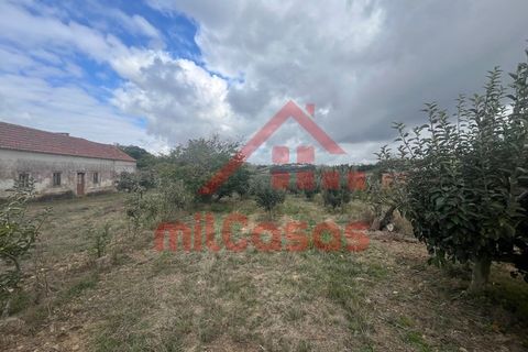 Villa a Carvalhal, Leiria, Carvalhal - € 170.000 | Ref: M3636 TVD - foto 2