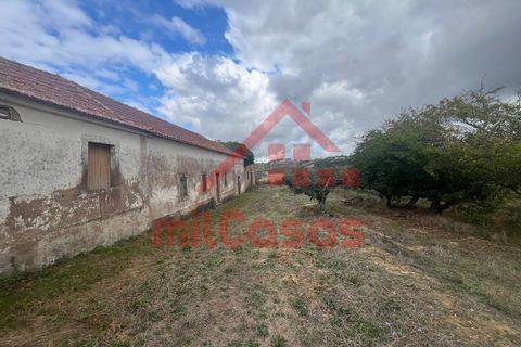 Villa a Carvalhal, Leiria, Carvalhal - € 170.000 | Ref: M3636 TVD - foto 4
