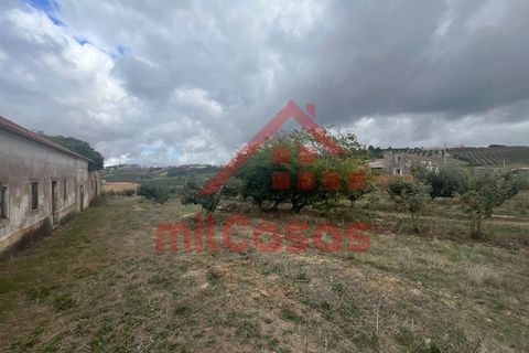 Villa a Carvalhal, Leiria, Carvalhal - € 170.000 | Ref: M3636 TVD - foto 6