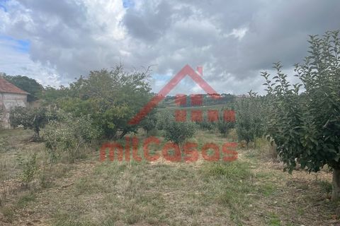 Villa a Carvalhal, Leiria, Carvalhal - € 170.000 | Ref: M3636 TVD - foto 7