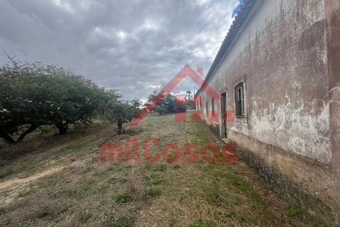 Villa a Carvalhal, Leiria, Carvalhal - € 170.000 | Ref: M3636 TVD - foto 14