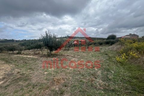 Villa a Carvalhal, Leiria, Carvalhal - € 170.000 | Ref: M3636 TVD - foto 15