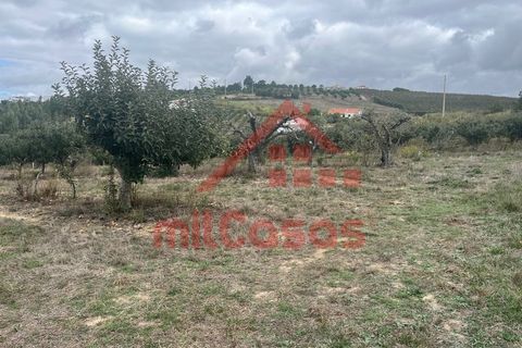 Villa a Carvalhal, Leiria, Carvalhal - € 170.000 | Ref: M3636 TVD - foto 16