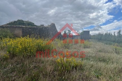 Villa a Carvalhal, Leiria, Carvalhal - € 170.000 | Ref: M3636 TVD - foto 17