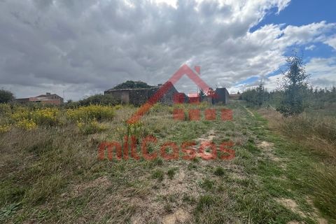Villa a Carvalhal, Leiria, Carvalhal - € 170.000 | Ref: M3636 TVD - foto 18