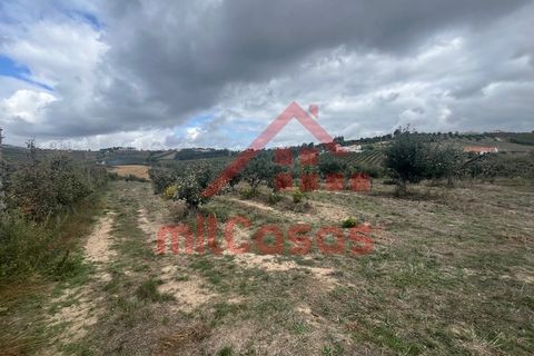 Villa a Carvalhal, Leiria, Carvalhal - € 170.000 | Ref: M3636 TVD - foto 19