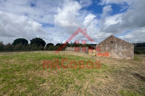 Villa a Carvalhal, Leiria, Carvalhal - € 170.000 | Ref: M3636 TVD - foto 20