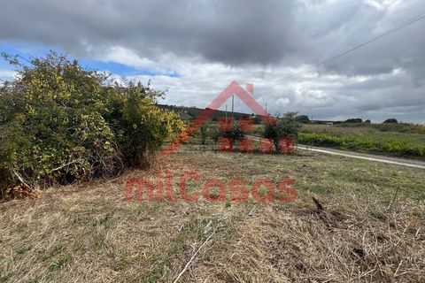 Villa a Carvalhal, Leiria, Carvalhal - € 170.000 | Ref: M3636 TVD - foto 22