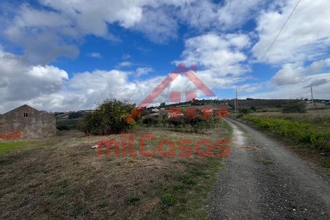 Villa a Carvalhal, Leiria, Carvalhal - € 170.000 | Ref: M3636 TVD - foto 23