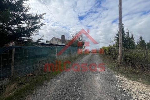 Villa a Carvalhal, Leiria, Carvalhal - € 170.000 | Ref: M3636 TVD - foto 24