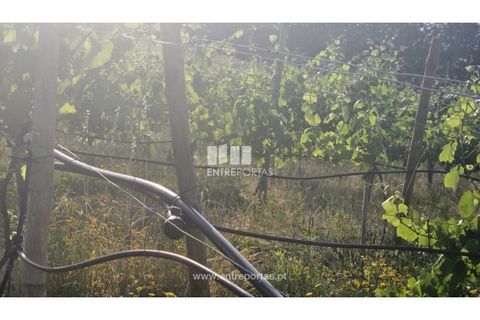 Helårsgrund i Moncao, Viana do Castelo, Moncao - € 493.500 | Ref: C02910 - foto 3