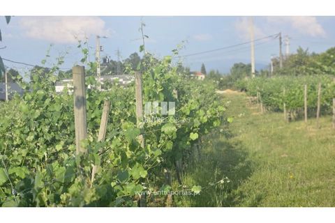 Helårsgrund i Moncao, Viana do Castelo, Moncao - € 493.500 | Ref: C02910 - foto 6
